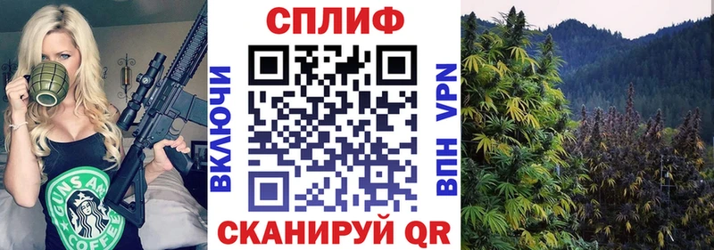 Виды наркотиков купить Бокситогорск Галлюциногенные грибы Мефедрон АМФ МАРИХУАНА Alpha-PVP