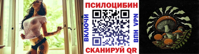 Псилоцибиновые грибы мицелий  цены   mega зеркало  Бокситогорск 